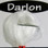 Hareline Darlon / White