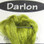 Hareline Darlon / Olive