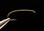 Daiichi 1760 Heavy Curved Nymph Fly Hook