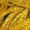 Hareline Dubbin Mini Flat Fly Braid / Yellow Gold