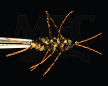 MFC Flexi Girdle Bug - Tan/Black