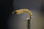 Tiemco TMC 2499SPBL Super Point Barbless Hook- Waxy the Waxworm