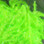 Hareline Midge Cactus Chenille / Flo. Chartreuse