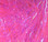 Hareline Ripple Ice Fiber (Pink)