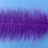 EP Sparkle Brush- Purple/Fuchsia