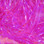 Hareline UV Life Flex Wrap (Flo. Fuchsia)