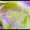 Hareline Micro Cut Groovy Bunny Strips (Yellow Chartreuse Purple)