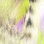Hareline Micro Cut Black Barred Groovy Bunny Strips (Yellow Chartreuse Purple)