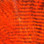 Hareline Fine Black Barred Marabou (Hot Orange)