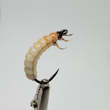Hise's Limnephilidae Caddis Larva