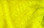 Hareline Trilobal Antron Chenille (Yellow)