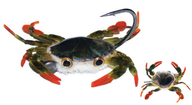 MFC Crabby Patty Crab- Olive