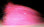 Letera's Magnum Streamer Dubbing- Hot Pink