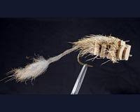 Yewchuck's Emperor Mouse Fly