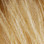Hareline Pseudo Hair (Peach)