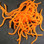 Casters Squirmito Squirmy Worm Material (Flo. Orange)