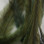 Spirit River UV2 Emu Feathers (Olive)