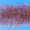 EP Tarantula Hairy Legs Brush (Brown)
