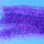 EP Tarantula Hairy Legs Brush (Purple)