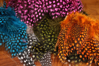 Spirit River UV2 Large Eyed Guinea Feathers