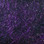 Spirit River Brite Blend (Purple)