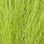 Hareline Pastel Northern Bucktails (Olive)