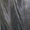Spirit River UV2 Ringneck Pheasant Tails (Black)