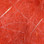 Larva Lace Mohair Plus Dubbing Blend- Fire Orange