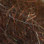 Larva Lace Mohair Plus Dubbing Blend- Rusty Brown