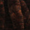 Mangum's Variegated UV2 Mini Dragon Tails (Black Brown)