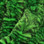 Mangum's Variegated UV2 Mini Dragon Tails (Black Chartreuse)