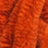 Mangum's Variegated UV2 Mini Dragon Tails (Brown Flo. Orange)