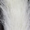 UV2 Calf Tails (White)