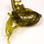 Hareline Mini Squiggle Worms (Olive)