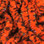 Hareline UV Mottled Galaxy Mop Chenille (Flo. Fire Orange)