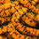 Hareline UV Mottled Galaxy Mop Chenille (Flo. Orange)