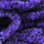 Hareline UV Mottled Galaxy Mop Chenille (Purple)