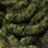 Hareline UV Mottled Galaxy Mop Chenille (Olive)