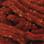 Hareline UV Galaxy Mop Chenille (Brown)