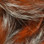 Hareline Shimmer Rabbit Strips (Crawfish Orange w/ Silver Shimmer)