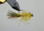 Hareline Balanced Fly Pins (Rowley's Balanced Leech)