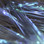 PerdigonMania Transparent UV (Ultraviolet) Strips  (Peacock)