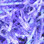 PerdigonMania UV (Ultraviolet) Flashback Strips (Blue Violet)