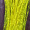 Hareline Small Life Flex- Yellow