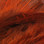 Strung Ringneck Pheasant Rump Feathers (Orange)