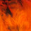 Hareline Strung Grizzly Variant Saddle Hackle (Hot Orange)