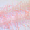 Just Add H2O Lively Legs Crustacean Brush (White and Flo. Pink)