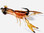 Streamart Designs Crayfish & Shrimp Carapace/Legs