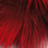 Hareline Golden Pheasant Body Feathers (Flo. Red)