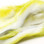 Hareline Polychrome Rabbit Strips (White/Yellow/Chartreuse)